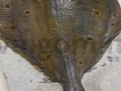 Švelni plekšnė su citrina Žingsnis 1