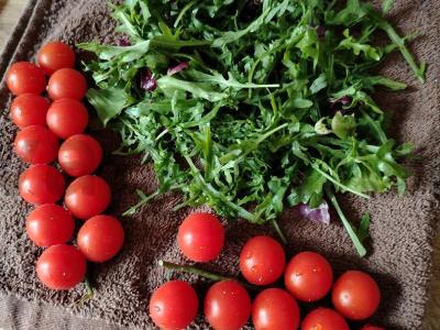 Daržovių salotas su krevetėmis ir stracciatella Žingsnis 1