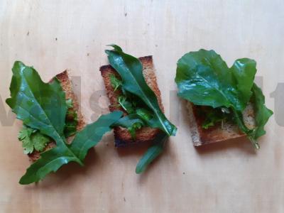 Kvietiniai skrebučiai su šonine, rukola ir petražolėmis Žingsnis 4