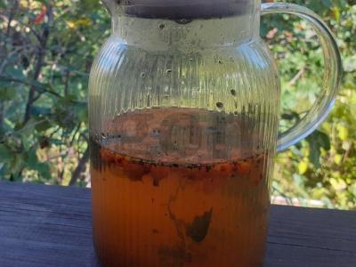 Juodasis arbata su šaltalankiais, čiobreliais ir raudonėliais Žingsnis 3