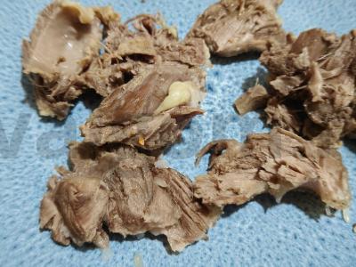 Avinienės sriuba Žingsnis 8