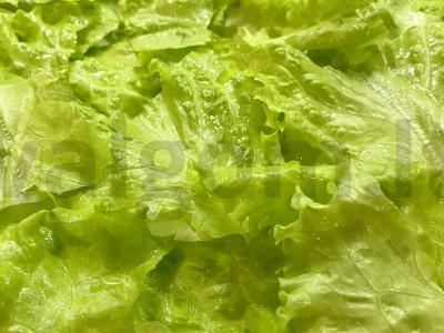 Salotas su baklažanu ir varškės sūriu Žingsnis 5