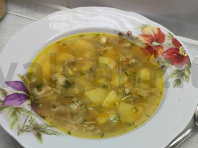 Vištienos troškinio sriuba pagrindine nuotrauka