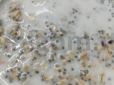 Greitas ir naudingas pusryčių receptas su avižomis pagrindine nuotrauka