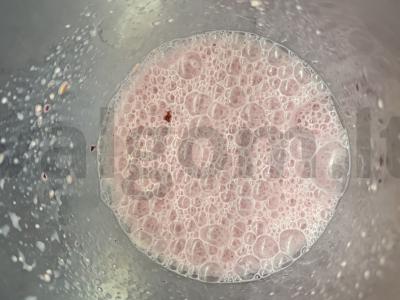 Pieno gėrimas su zefyrais, vyšniomis, ledais Žingsnis 4