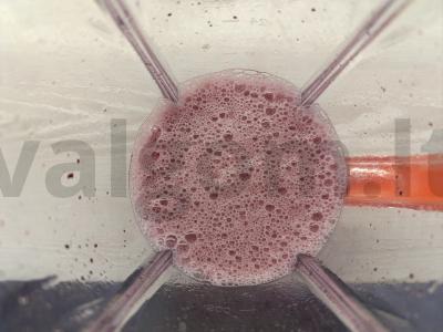 Limonadas su uogiene Žingsnis 3