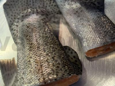 Grietininis sriuba su upėtakiu Žingsnis 1