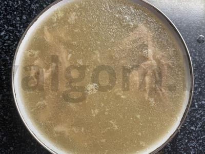 Šaltiena iš kiaulienos ir kalakutienos Žingsnis 10