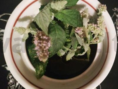 Juodasis arbata su obuoliais ir mėtomis Žingsnis 2