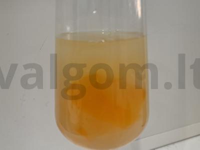 Persikų kokteilis su želė pagrindine nuotrauka