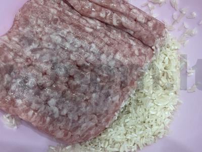 Kiaulienos ir ilgo ryžių ežiukai Žingsnis 2