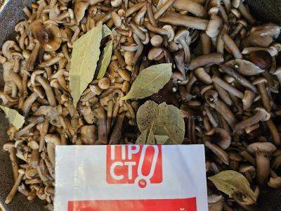 Marinuoti žiemai pievagrybiai Žingsnis 3