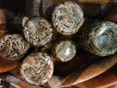 Marinuoti žiemai pievagrybiai Žingsnis 5