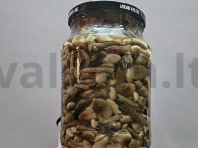 Marinuoti žiemai pievagrybiai pagrindine nuotrauka