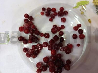 Karštas gėrimas su apelsinu ir spanguolėmis Žingsnis 1