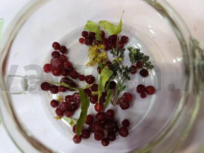 Karštas gėrimas su apelsinu ir spanguolėmis Žingsnis 2