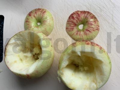 Kepti obuoliai su aviečių džemu, kumkvatu ir riešutais Žingsnis 1