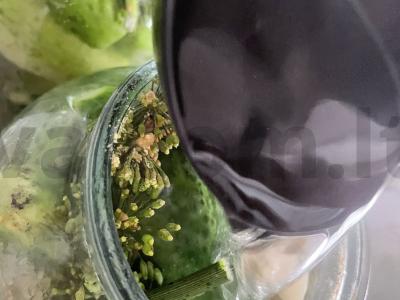 Sūdyti agurkai su garstyčių milteliais stiklainiuose Žingsnis 8