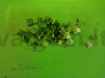 Salotas su grybais, pomidoru ir marinuotais svogūnais Žingsnis 2