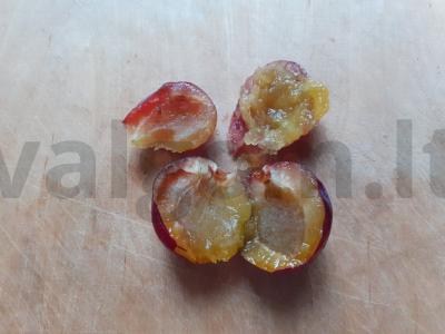 Kompotas su slyvomis, erškėtrožėmis ir juodaisiais serbentais Žingsnis 1