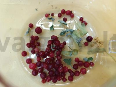 Gėrimas su vyšnių uogiene ir mėtomis Žingsnis 2