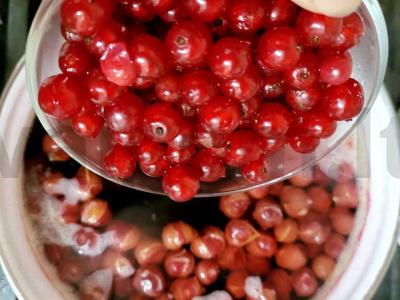 Aromatingas kompotas su uogomis ir muskato riešutu Žingsnis 1