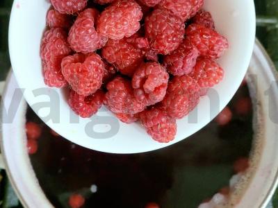 Aromatingas kompotas su uogomis ir muskato riešutu Žingsnis 2