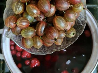 Aromatingas kompotas su uogomis ir muskato riešutu Žingsnis 3