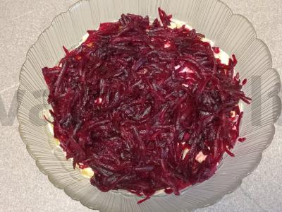 Salotas „Skumbrė po šubė“ su raudonuoju svogūnu Žingsnis 5