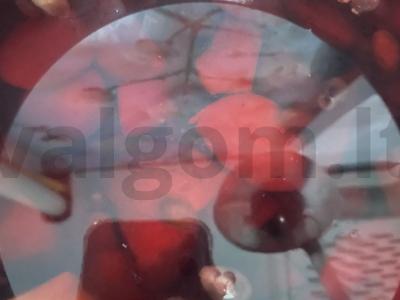 Vitamininis gėrimas su kriauše ir šilauogėmis Žingsnis 4