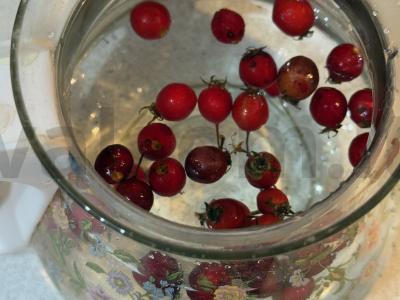 Arbata „Naudinga“ su granatų žievelėmis ir šaltalankiais Žingsnis 1