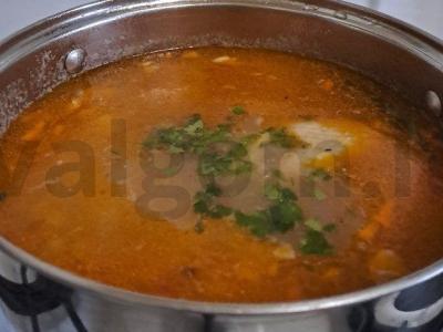 Vištienos sūrytas sriuba su marinuotais pomidorais Žingsnis 11