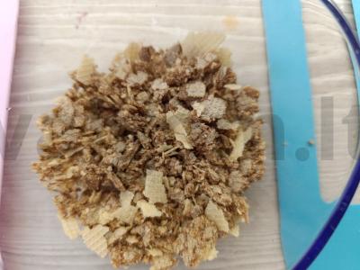 Kepiniai su lazdyno riešutais ir varške vaflių trupiniuose Žingsnis 2