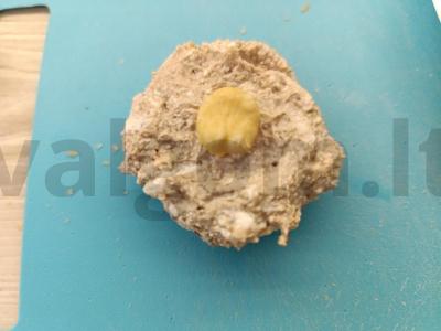 Kepiniai su lazdyno riešutais ir varške vaflių trupiniuose Žingsnis 3