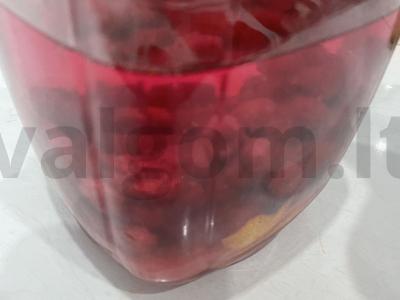 Aviečių tinktūra su vanilinu Žingsnis 5