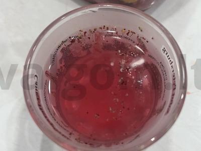 Aviečių tinktūra su vanilinu pagrindine nuotrauka