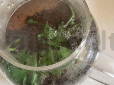 Arbata su melisa, šaltalankiu ir juodąja serbentu Žingsnis 4