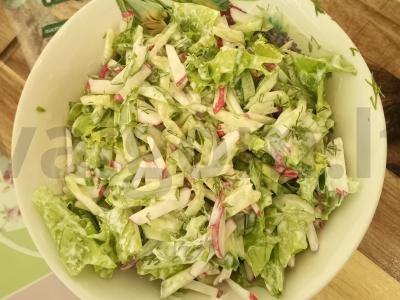 Salotas su ridikėliais, agurkais ir žolelėmis pagrindine nuotrauka