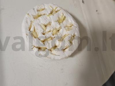 Keptas kamamberas su česnaku Žingsnis 4