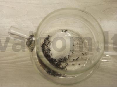 Arbatos gėrimas su džiovintais vaisiais Žingsnis 1