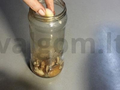 Marinuoti sviestiniai grybai su česnaku Žingsnis 11