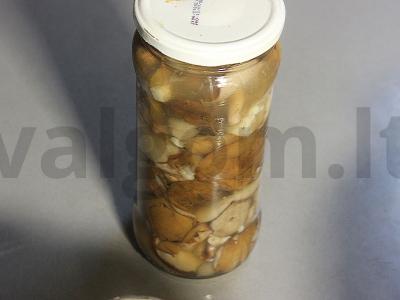 Marinuoti sviestiniai grybai su česnaku Žingsnis 12