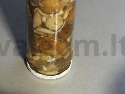 Marinuoti sviestiniai grybai su česnaku Žingsnis 13