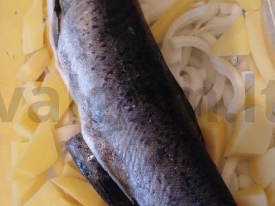 Kepta upėtakis ant daržovių pagalvėlės Žingsnis 4