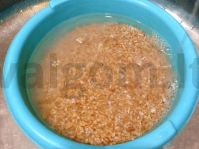 Kviečiai su kalakutiena ir daržovėmis Žingsnis 4