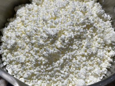 Sūrio blynai iš varškės keptuvėje Žingsnis 1