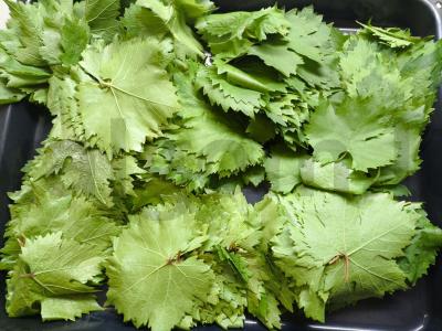 Marinuoti vynuogių lapai dolmai Žingsnis 1