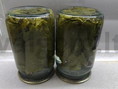 Marinuoti vynuogių lapai dolmai Žingsnis 8