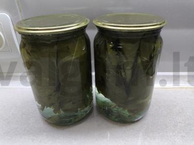 Marinuoti vynuogių lapai dolmai pagrindine nuotrauka