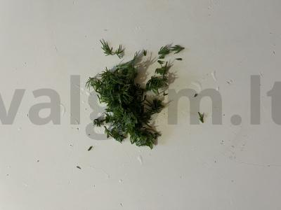 Makaronai su troškiniu ir žolelėmis per 20 minučių Žingsnis 2